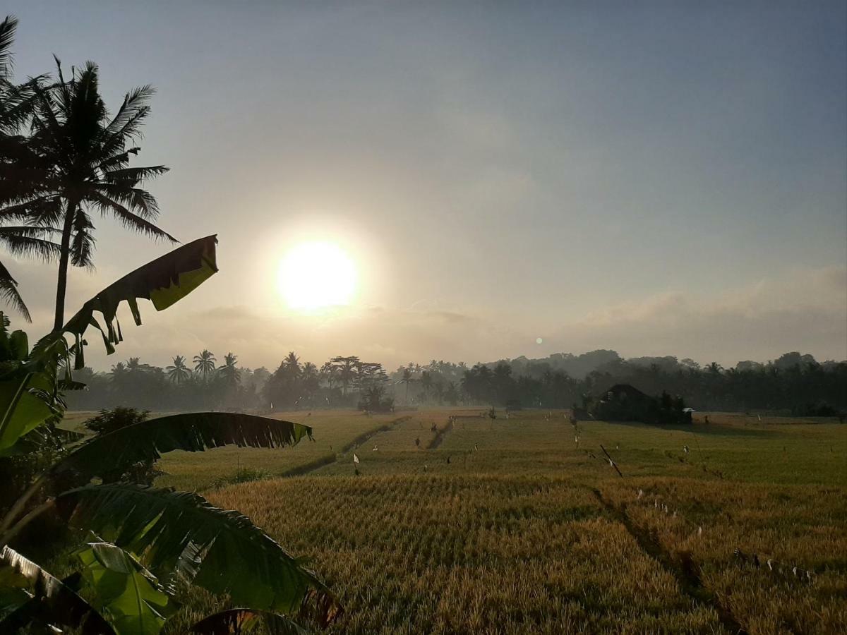 The Satya Villa Ubud  Ngoại thất bức ảnh