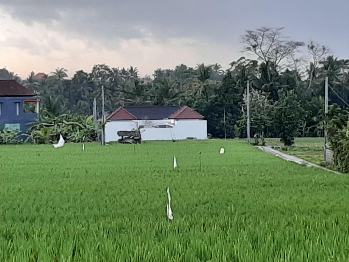 The Satya Villa Ubud  Ngoại thất bức ảnh